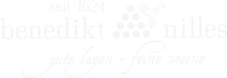 Logo Benedikt Nilles